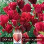 Combi Tulip Red Shades