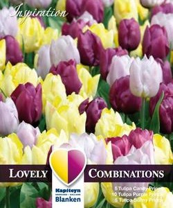 Combi_Tulip_Yellow,Purple_&_Lilac