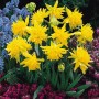 Rip Van Winkle